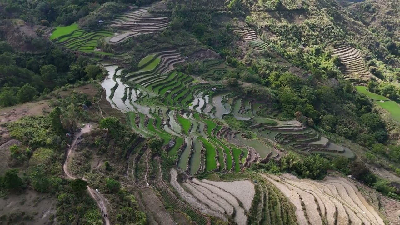 Mt. Kimat rice terraces 