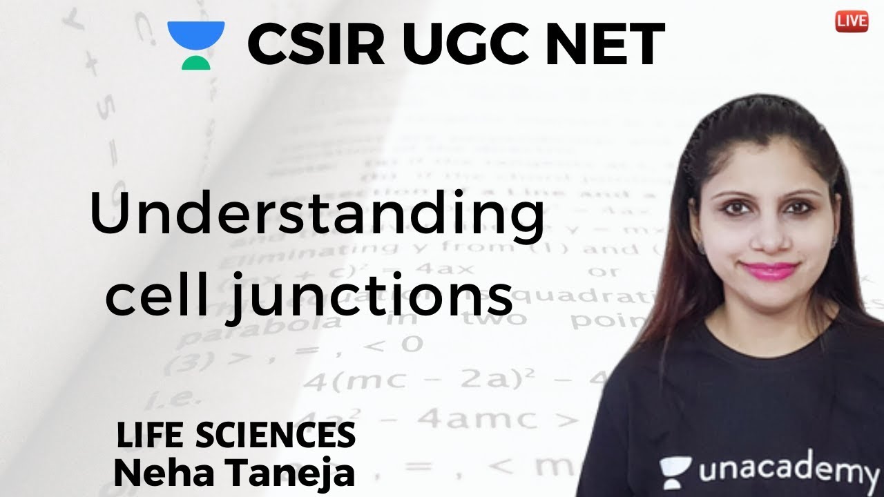 Understanding cell junctions | Life Science | Unacademy Live CSIR UGC NET | Neha Taneja