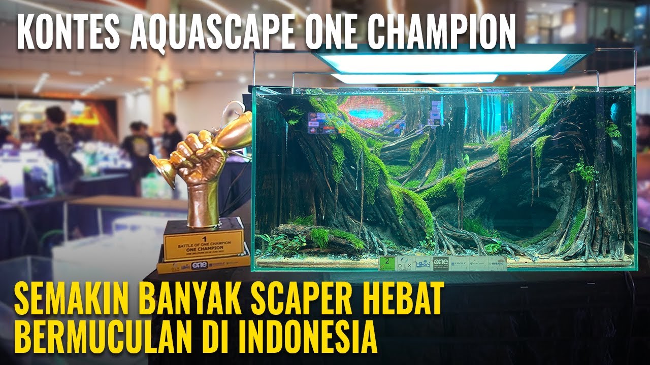 [SCAPERVLOG] SEMAKIN BANYAK SCAPER HEBAT MUNCUL DI INDONESIA!! ONE CHAMPION AQUASCAPE CONTEST