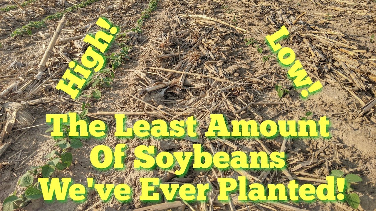 Planting Low Population Soybeans