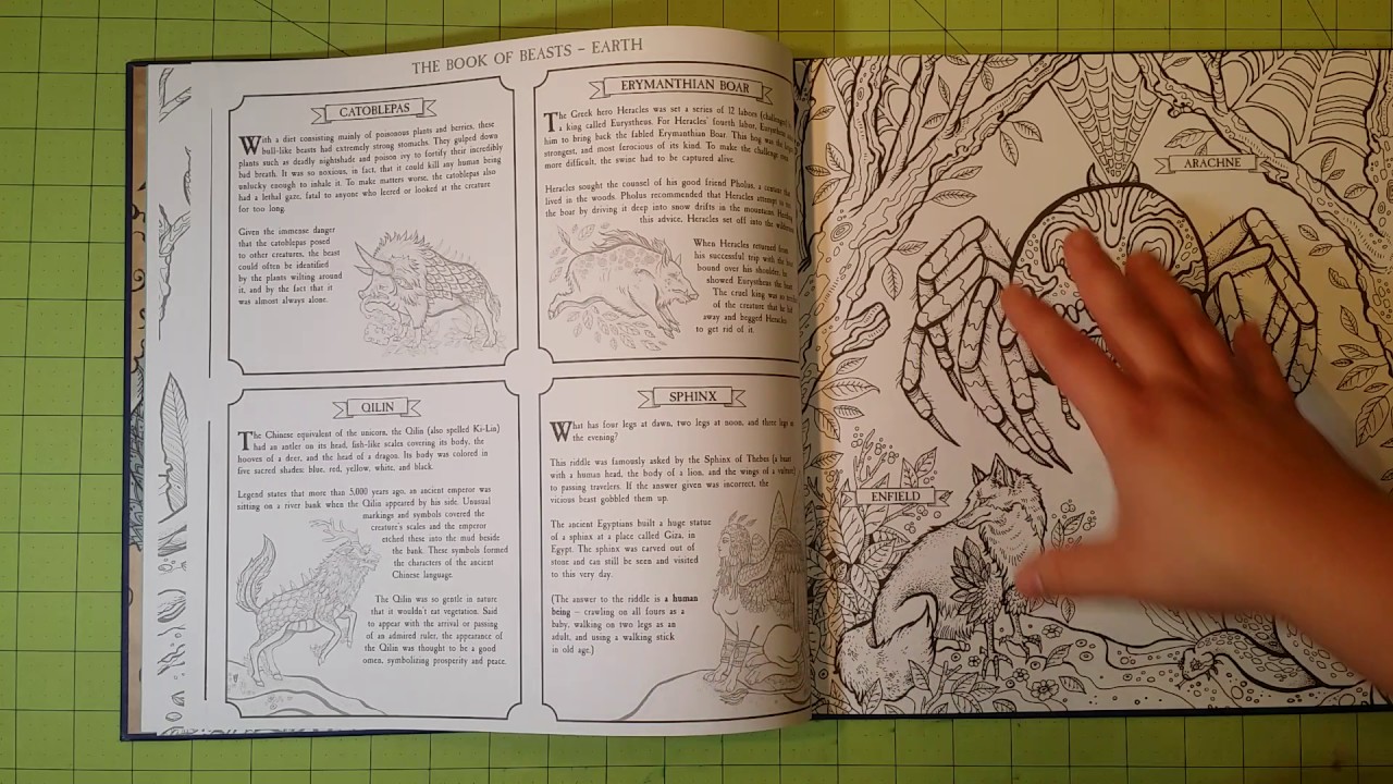 The Book of Beasts Color and Discover by Angela Rizza coloring book review and flip through