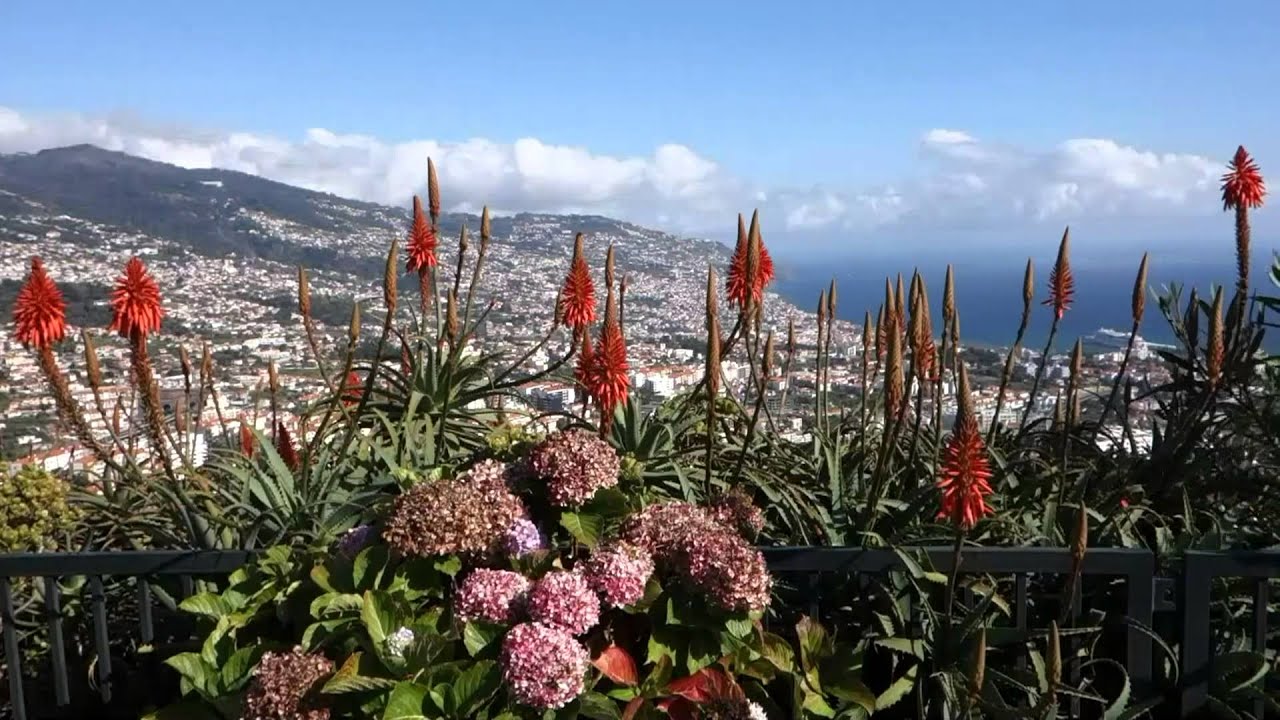 Madeira - HD,  2013