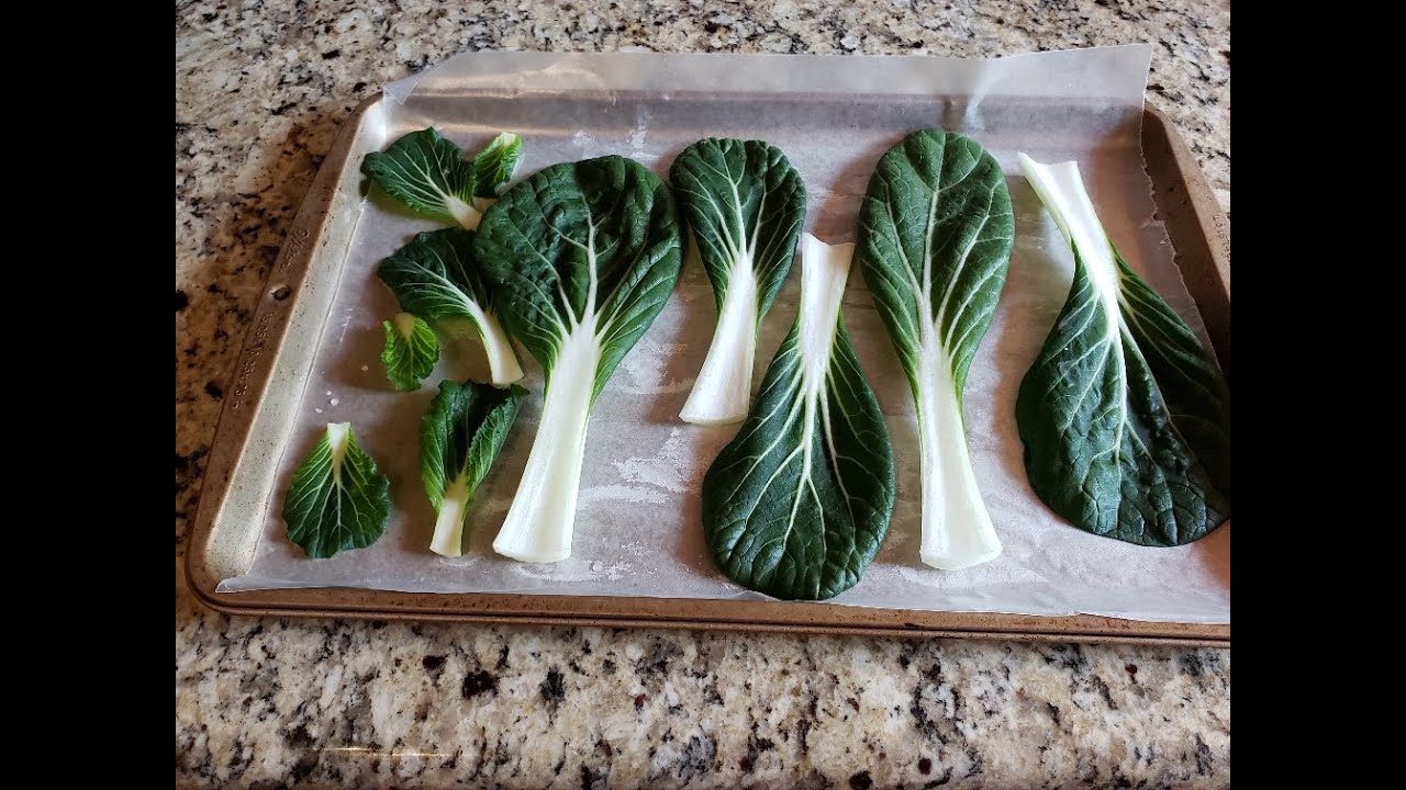 Freezing Pak Choi (aka Bok Choy) it will keep for 6 to 8 months.