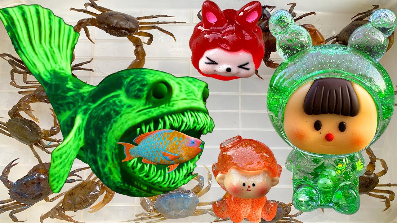 Kem Ốc Chanel ra đồng gặp con c&aacute; sở th&uacute; bắt con cua, c&aacute;, con m&egrave;o, x&eacute; t&uacute;i m&ugrave; labubu, kuromi, capybara