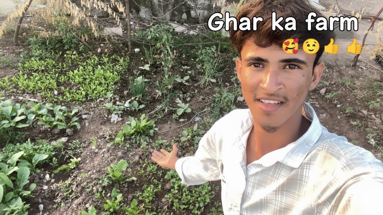 Ghar me ek chota farm hai ☺️👍