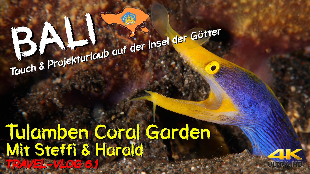 Tauchen auf BALI - Coral Garden 
