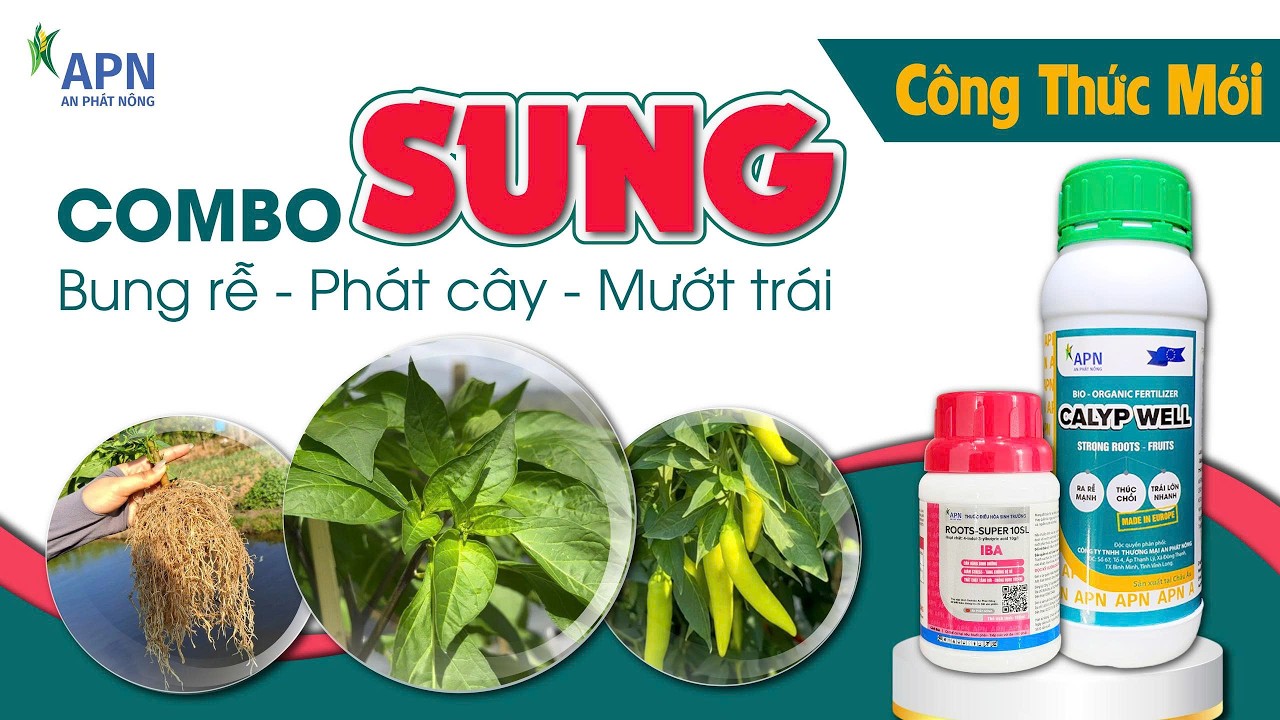 APN - COMBO SUNG | CÔNG THỨC DINH DƯỠNG ĐA NĂNG CHO RAU MÀU