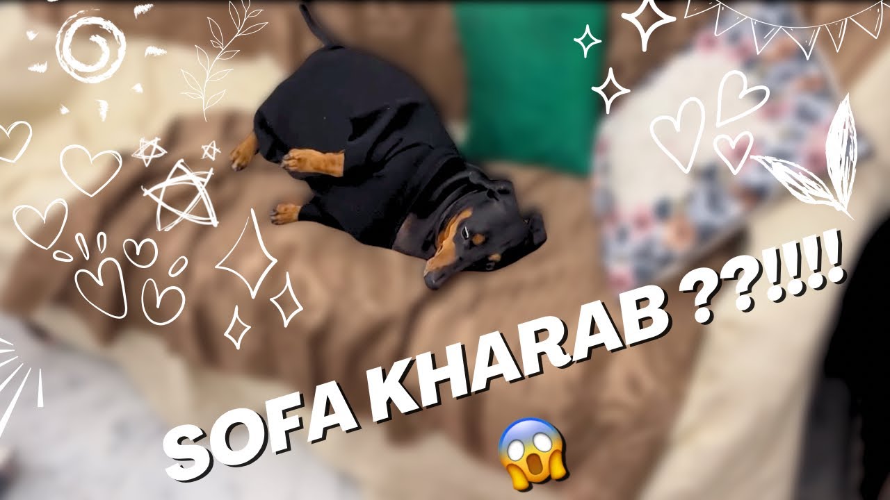 Sofa kharab ???!!!! 😱