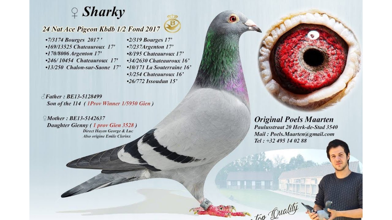 #120 500+ oraz jak dobić młódki