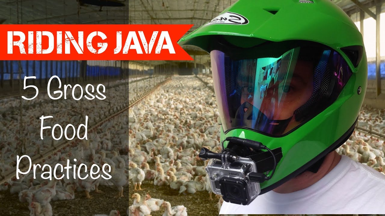 3 Gross Food Practices in Indonesia | Motovlog Indonesia