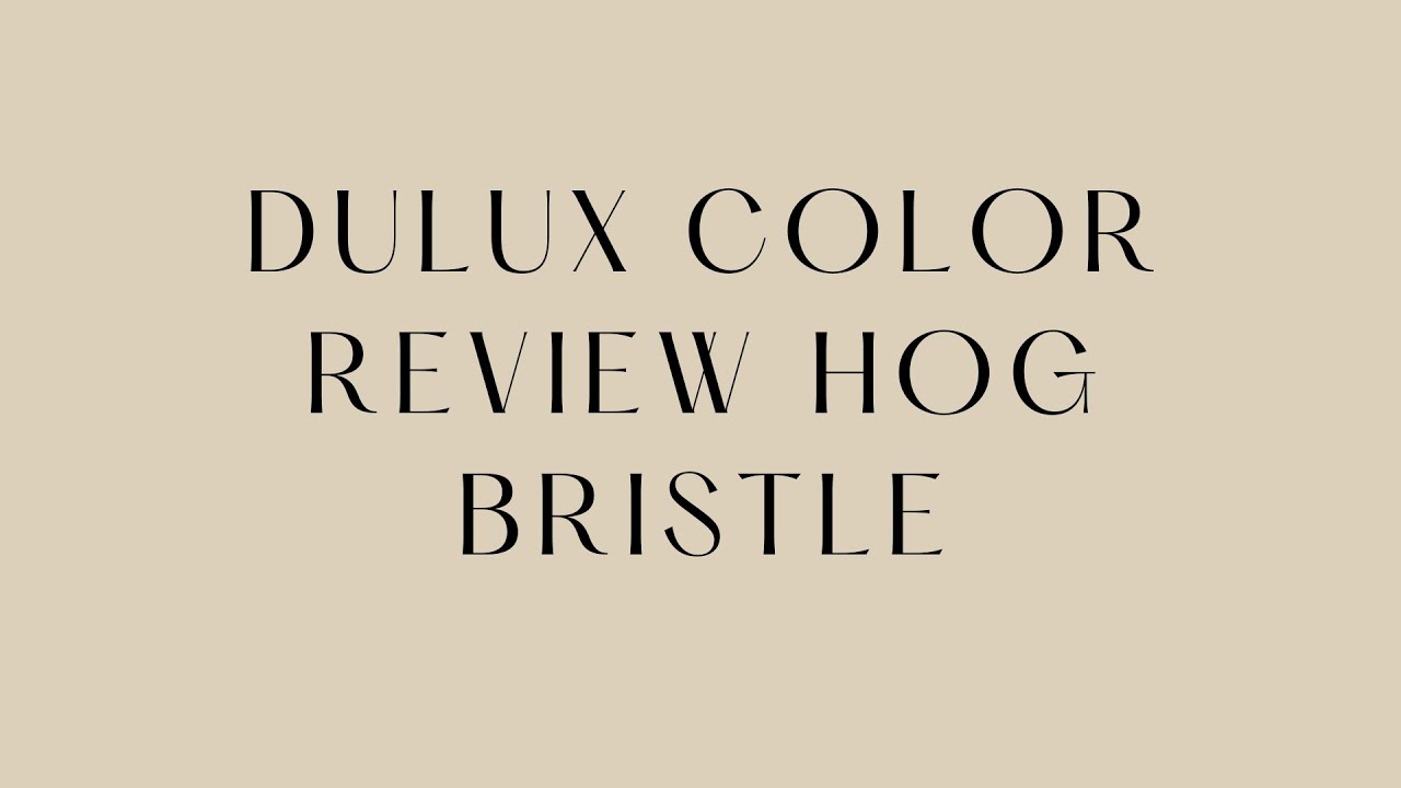 DULUX PAINT COLOUR REVIEW | HOG BRISTLE