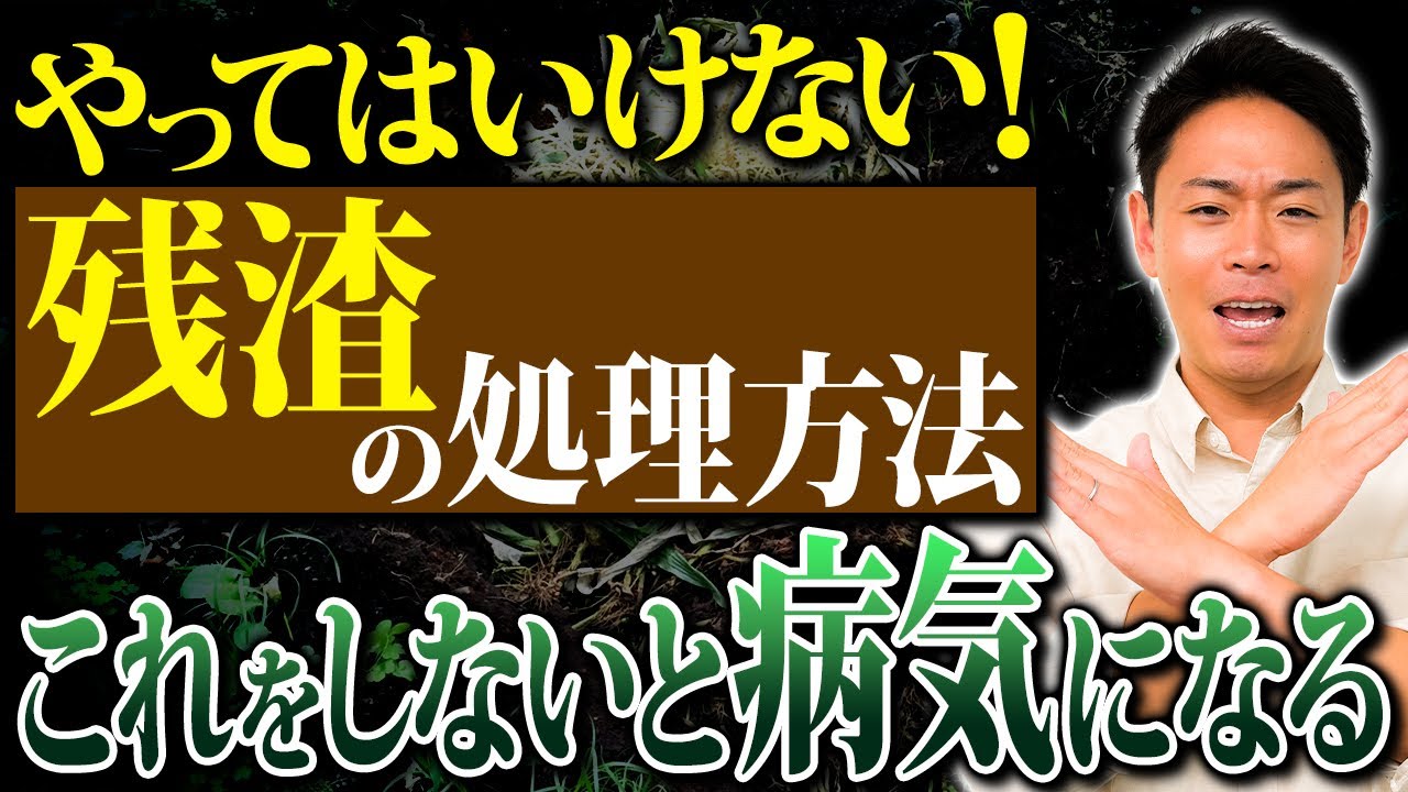 【必見】家庭菜園の悩みの種「残渣処理」混ぜてはいけない意外なNG野菜とは？【家庭菜園 土作り ガーデニング 残渣処理】
