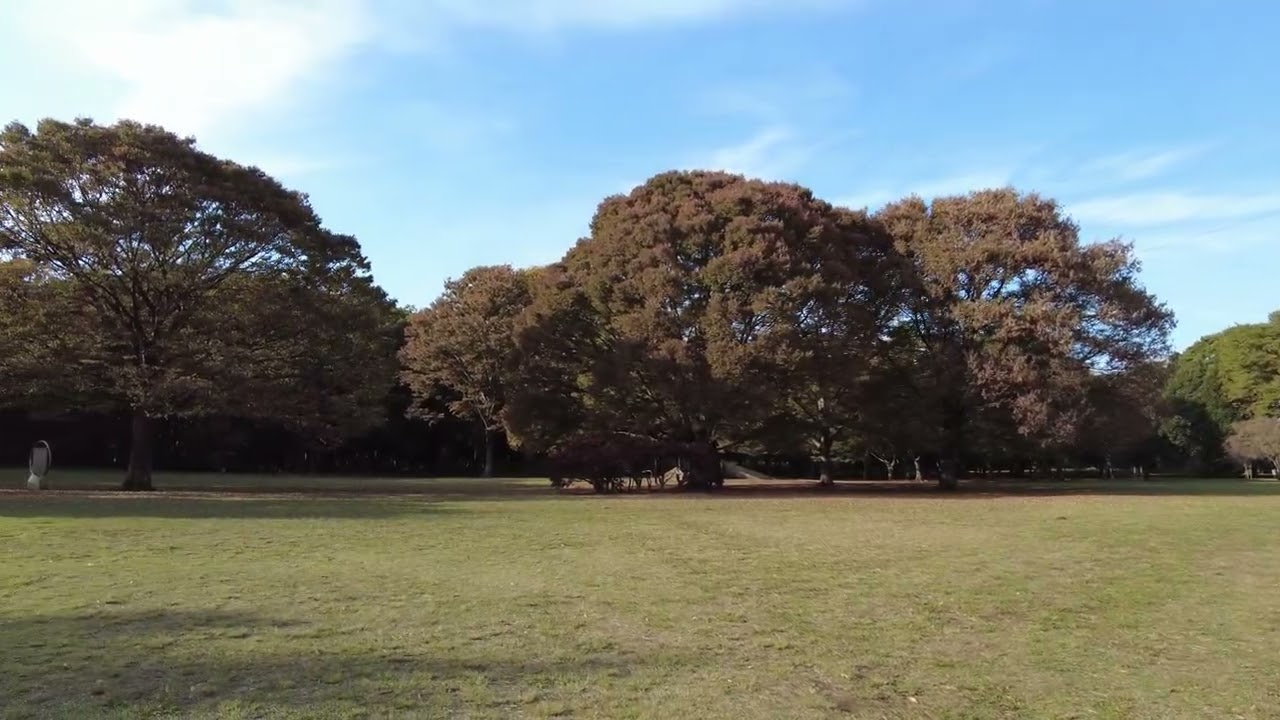 広い広い小金井公園に行ってきました