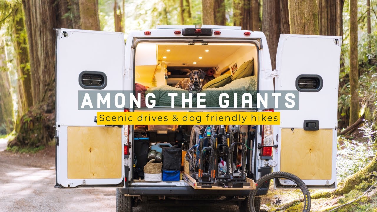 Northern California Road Trip | Redwood National Park