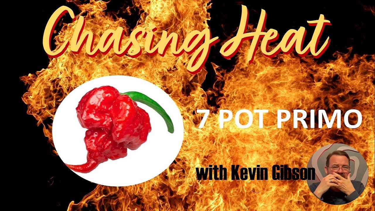 7 Pot Primo Peppers Turn the Tables Quickly | Chasing Heat