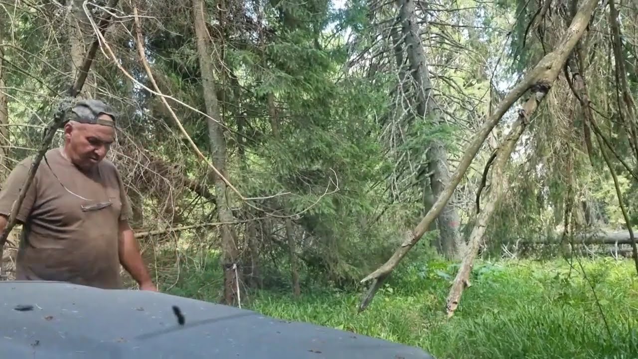 Off road - Toplita wild life 2024