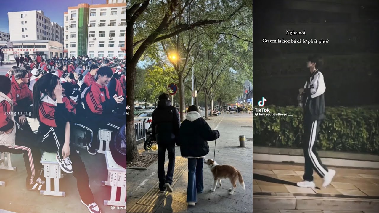 TỔNG HỢP TIKTOK Tiểu thuyết, Thanh Xuân Vườn Trường | @tduongg.011#tieuthuyet #thanhxuanvuontruong 