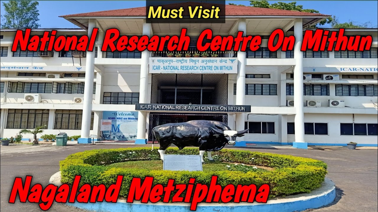 National Research Centre On Mithun Ghaspani Nagaland