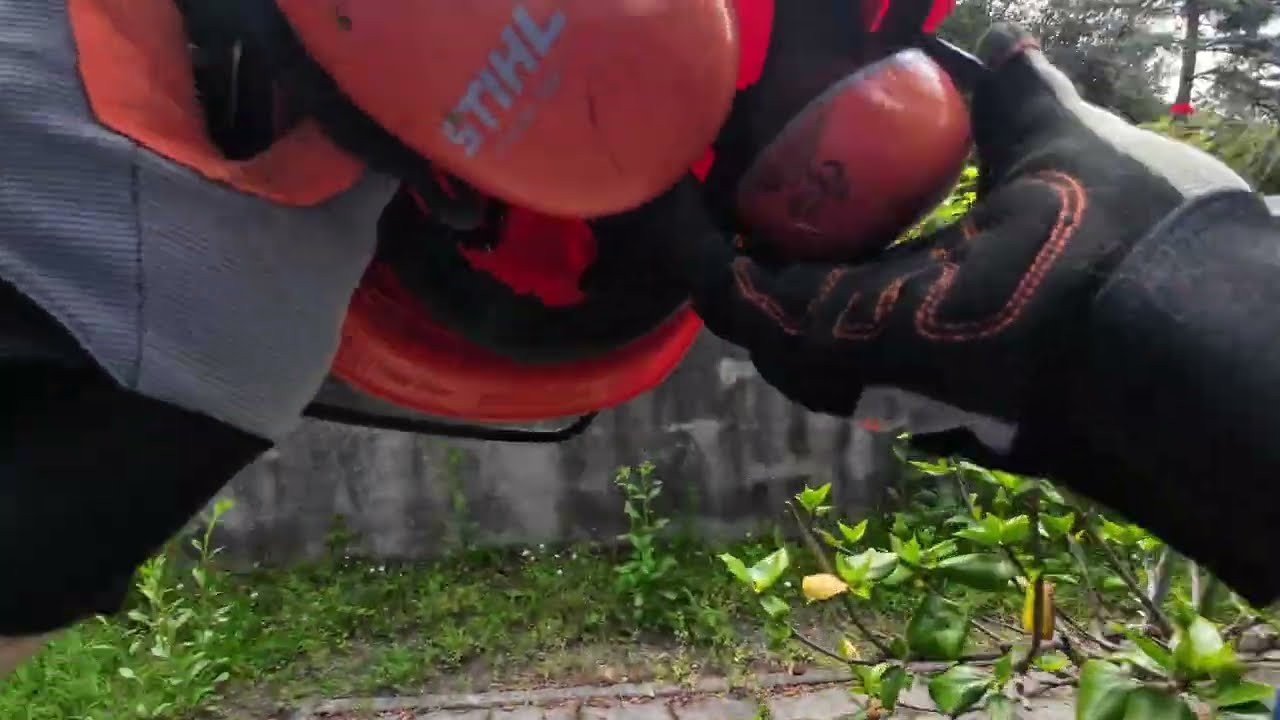 Stihl FS-460 akcióban a kínai 