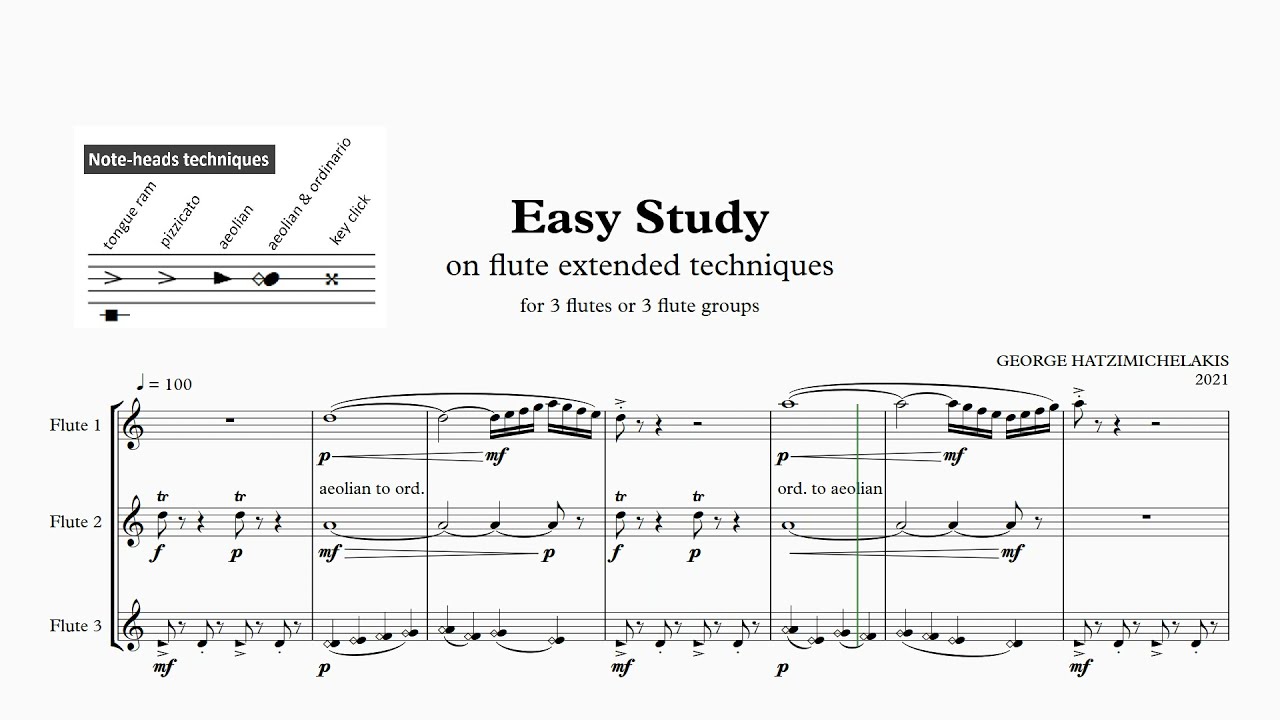 EASY STUDY on flute extended techniques
