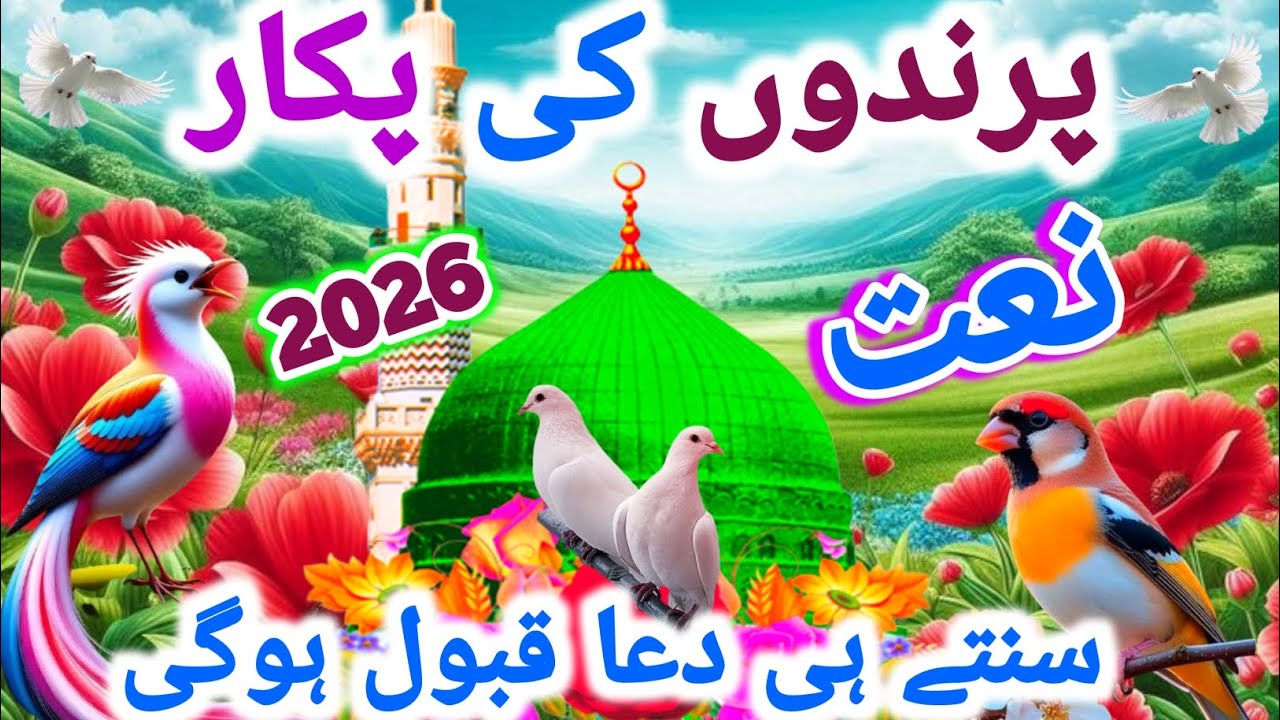 Beautiful Naat - Gardishon Ne Pa Liye Hain | New Naat 2026 | Hashim Naat Studio | Islamic Video |