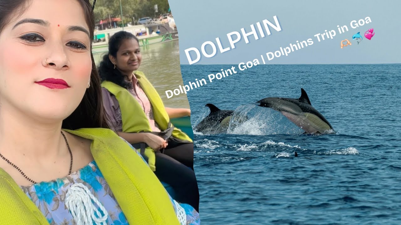 Dolphin Point Goa | Dolphins Trip in Goa 🐬Goa Day 2 Dolphin trip in Goa Coco 🏖️🐟🐬🫶🏻