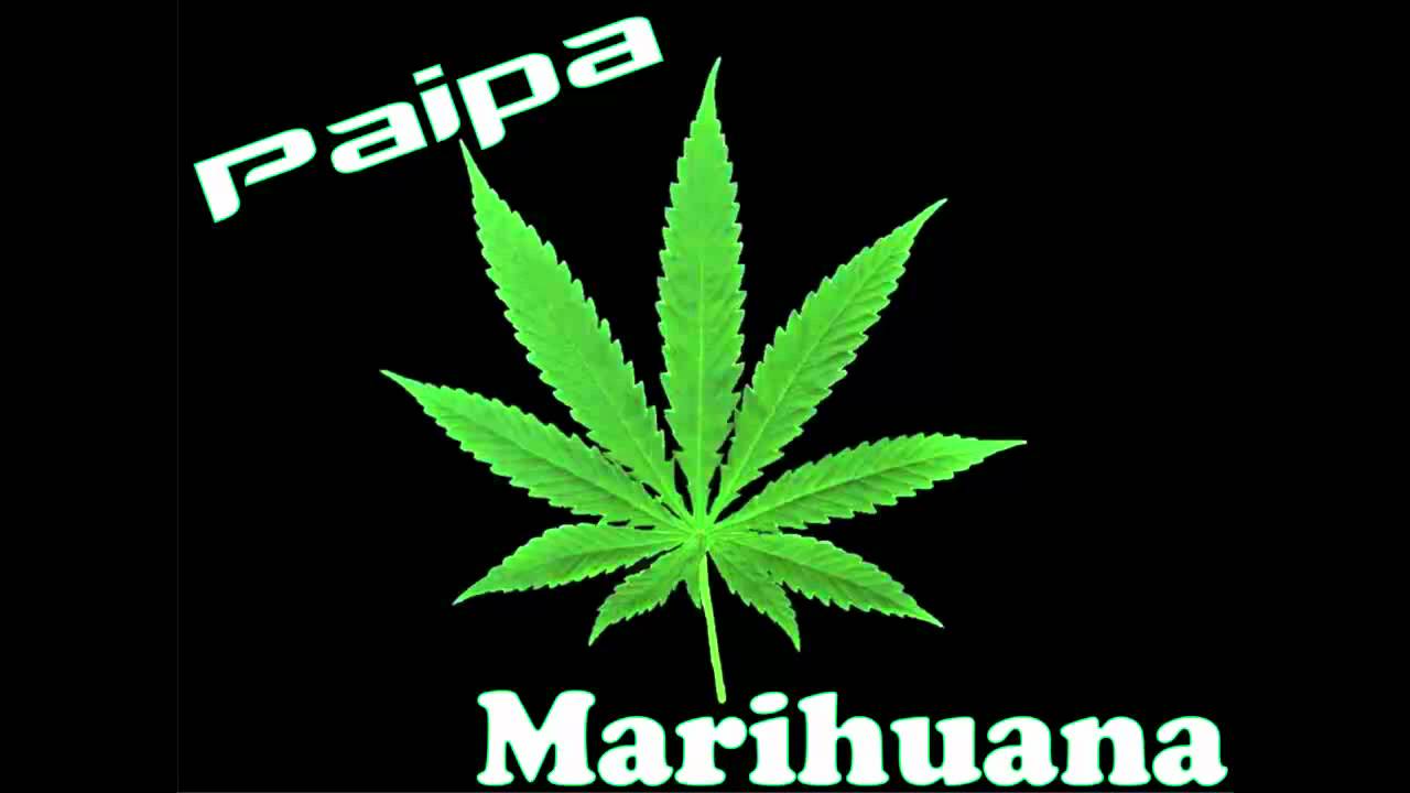 Paipa Marihuana (The Musik House)