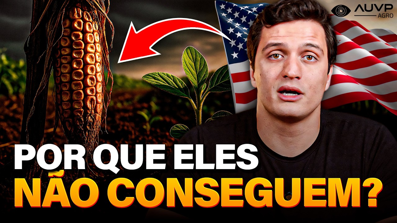 POR QUE OS EUA SÓ TÊM UMA SAFRA E O BRASIL TEM DUAS?
