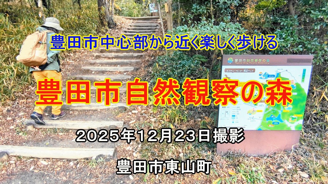 豊田市自然観察の森を歩いてきました　ナオユミのハイキングに行こう
