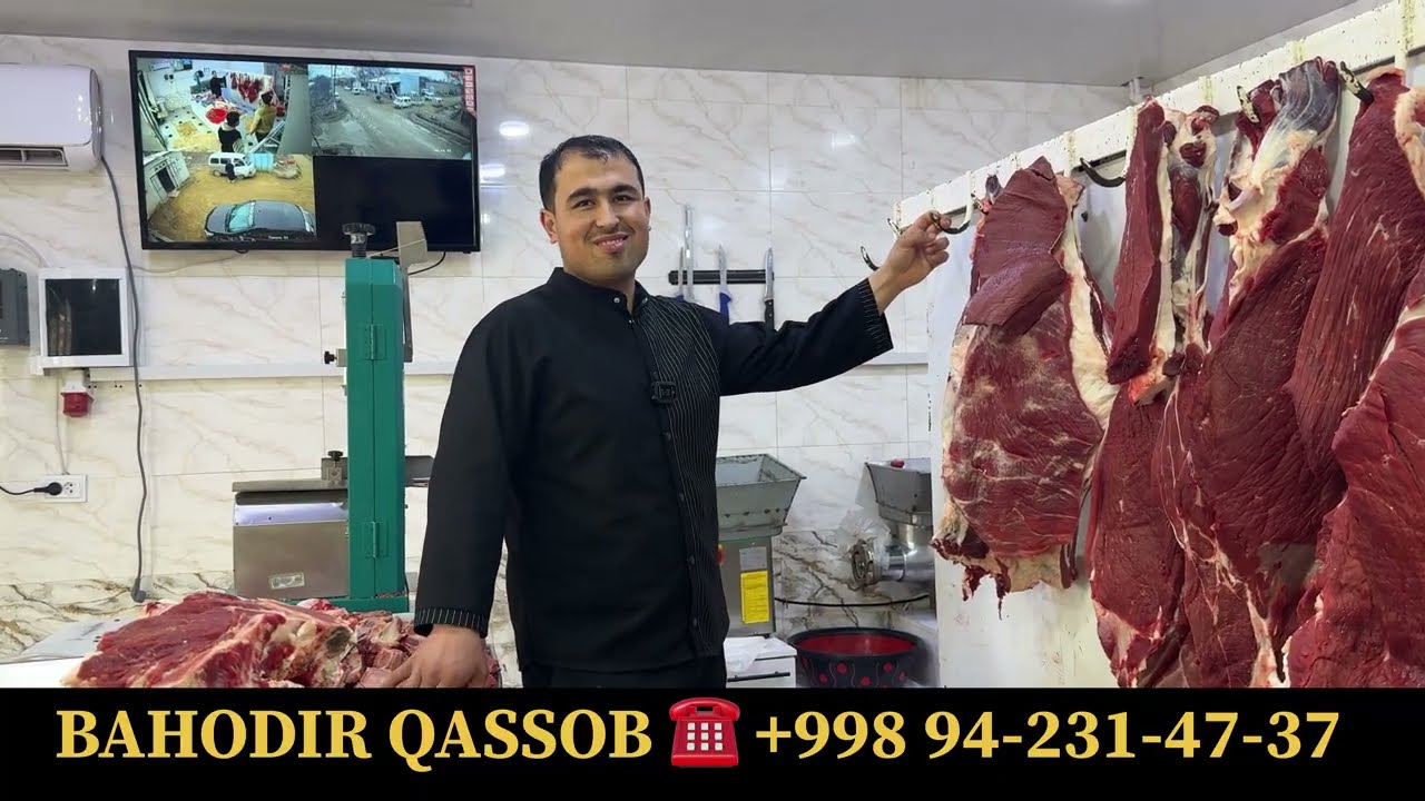 GIGANT XOKIR 1200kg QACHON SOʻYILADI❗️