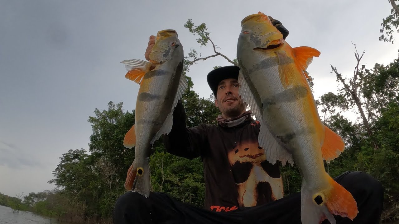 Expedição Roraima - Pescaria de Tucunarés Açu e Pirararas Barco Asa Branca Amazon 1 - Dona Socorro