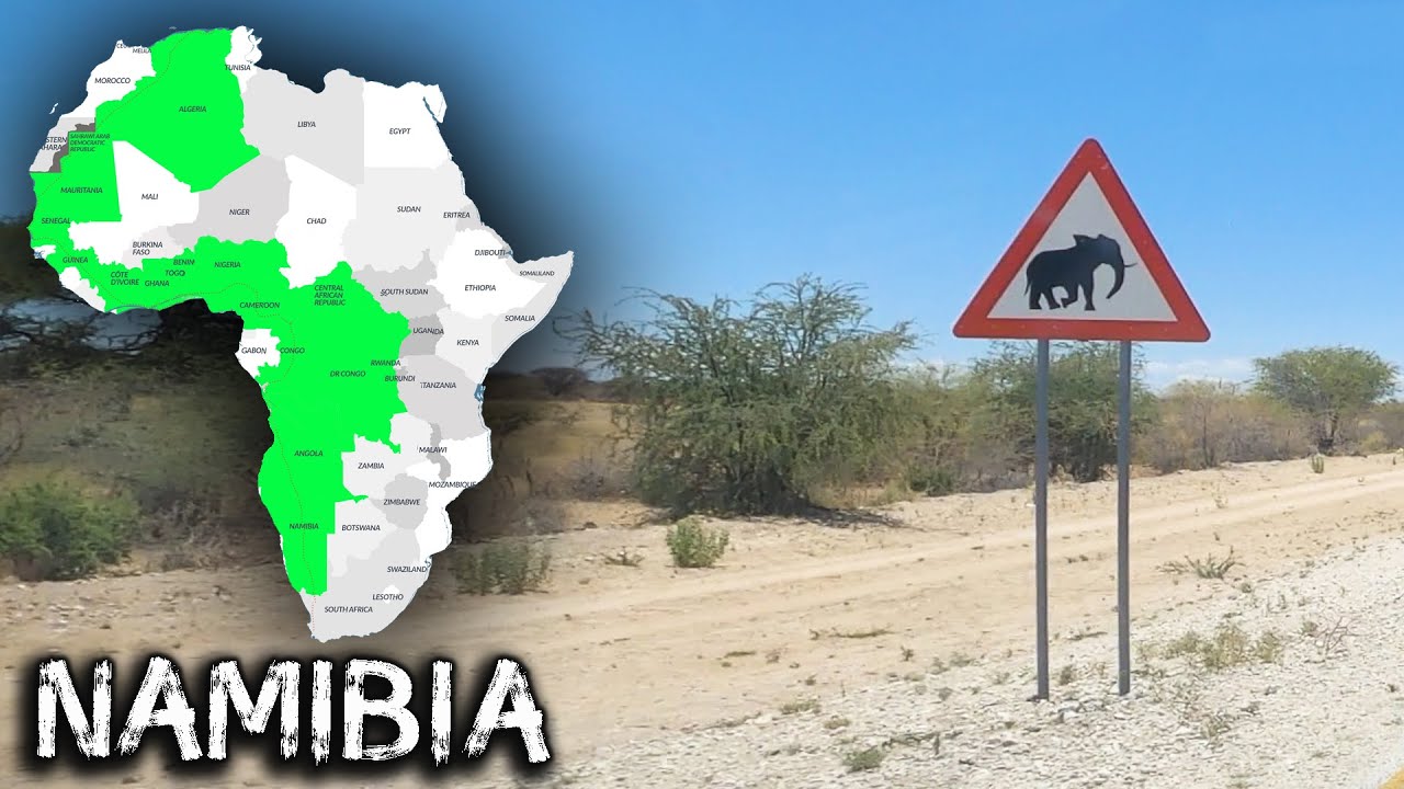 🇳🇦Ep.33 - Atenție!!! GIRAFE traversează drumul! (Namibia vlog)