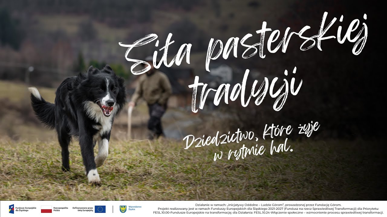 Siła pasterskiej tradycji - Dziedzictwo, kt&oacute;re żyje w rytmie hal - Manufaktura dziedzictwa [2025]