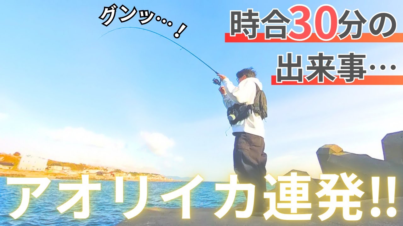 デイエギングでアオリイカ入れ食い！！北海道の漁港にもアオリイカの”巣窟”は存在した…【道南遠征３日目】