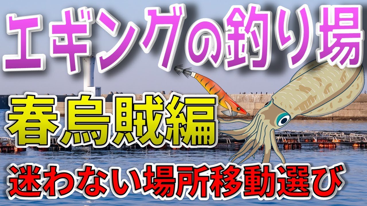 【エギング釣り場攻略法】朗報！春イカが釣れる場所１０選