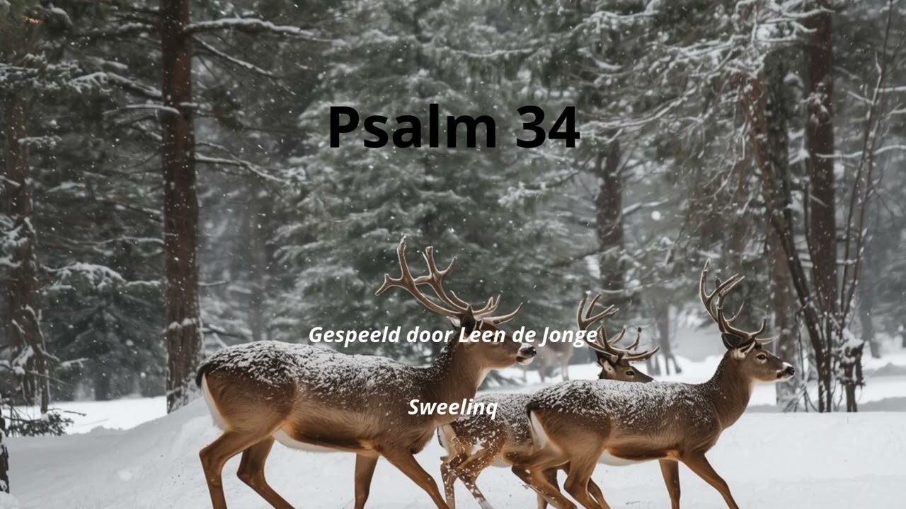 Psalm 34 Leen de Jonge
