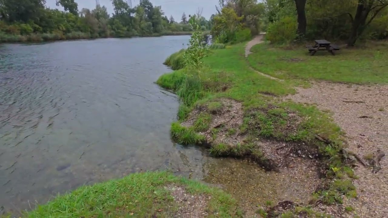 Hochwasser Spaziergang Wien 2024.09.15 Mühlwasser Dechantlacke Donau