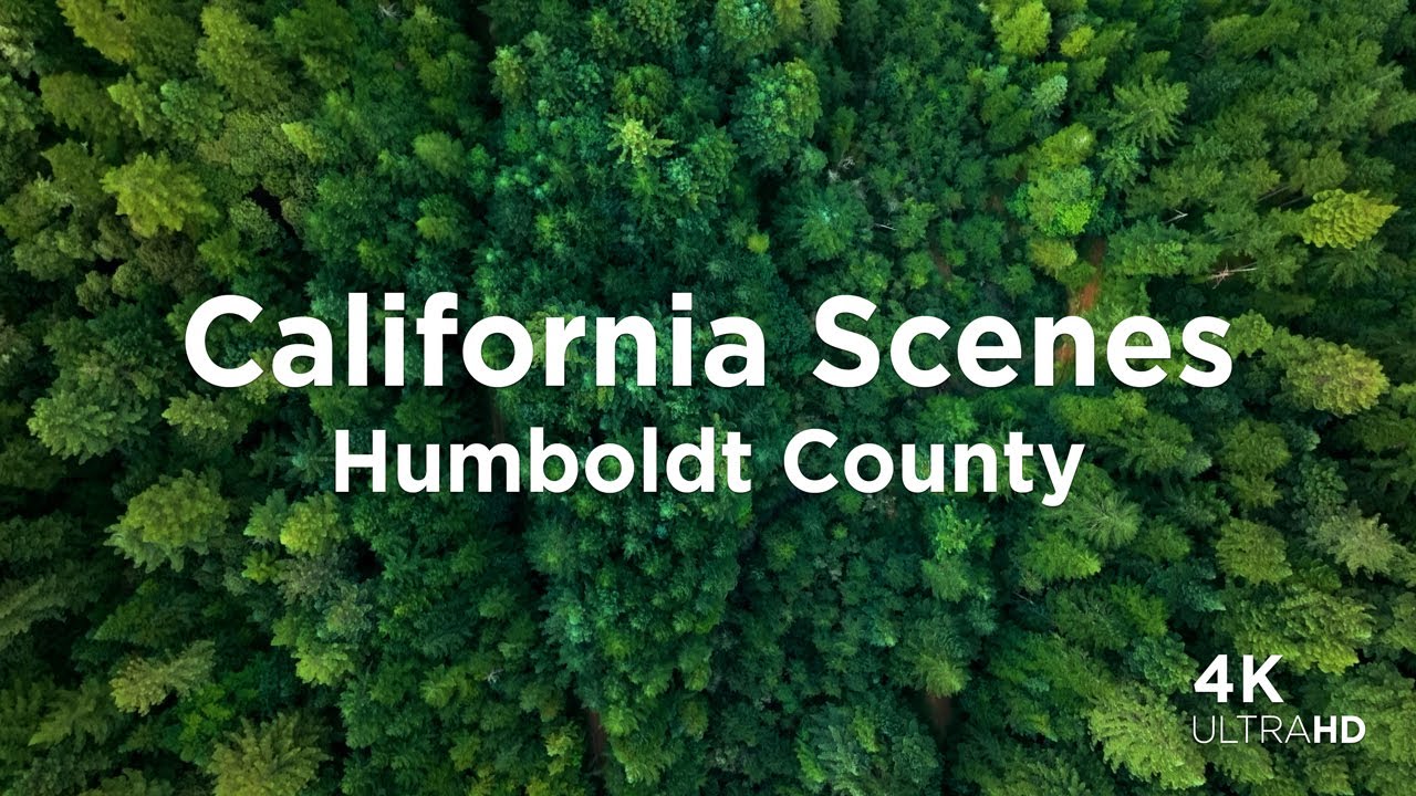 California From Above: Humboldt County Redwoods and Ocean Aerial Views | 4K Drone Compilation