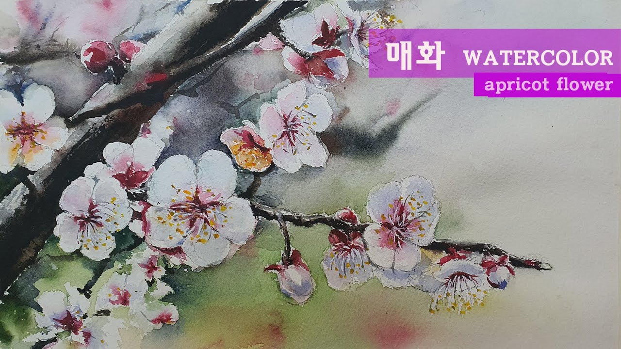 봄 꽃 매화를 수채화로, 취미 수채화 세 번째 blossom