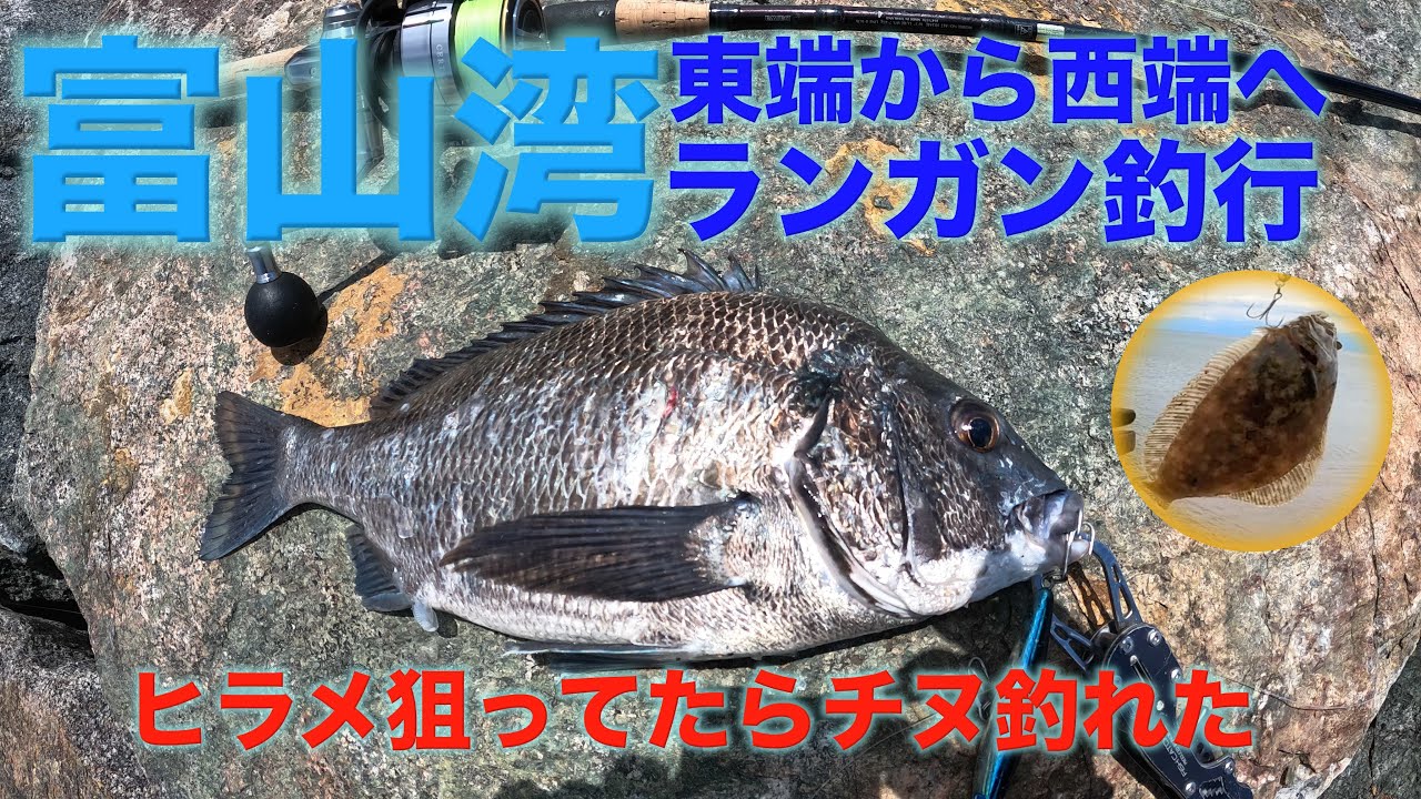 【富山湾釣行】ランガンしながらヒラメ狙ってたらチヌ釣れました♫ジャンプライズの「ぶっ飛び君９５S」で広範囲に探り小さなヒラメとクロダイ(´∀｀)