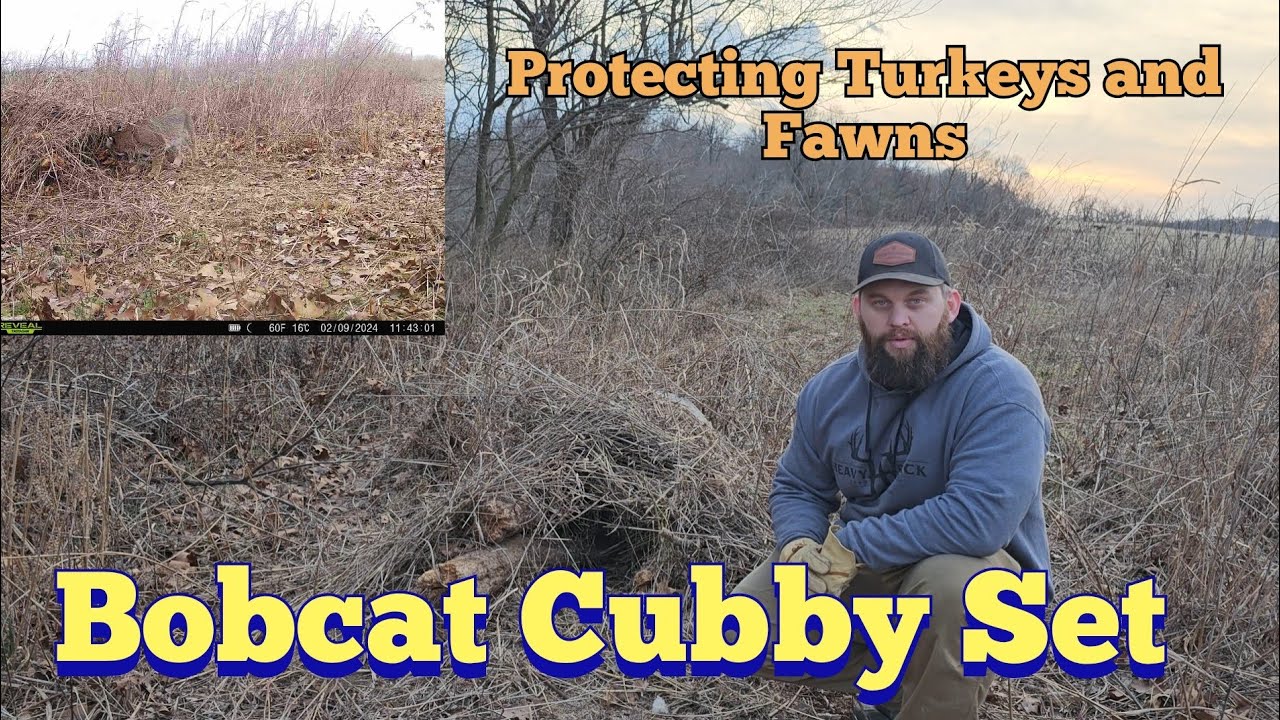 Набор для ловли рыси Bobcat Cubby | KOAM Outdoors Tratting