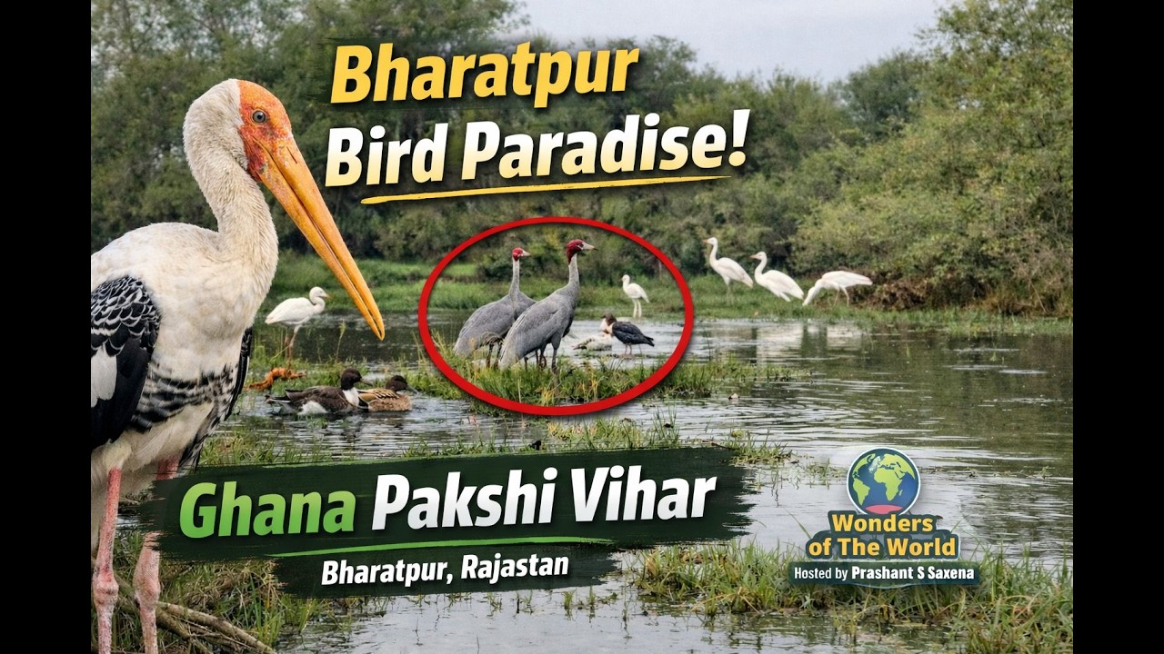 Ghana Bird Sanctuary Bharatpur | Prashant S Saxena | Wonders of The World | Travel Blog