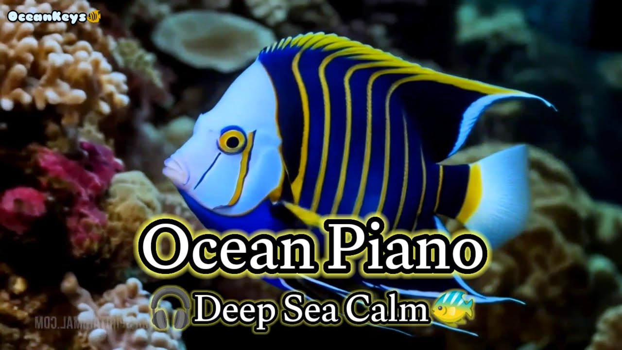 Underwater Relaxation Music with Gentle Piano and Ocean Sounds for Healing, Sleep, and Calm 🐠