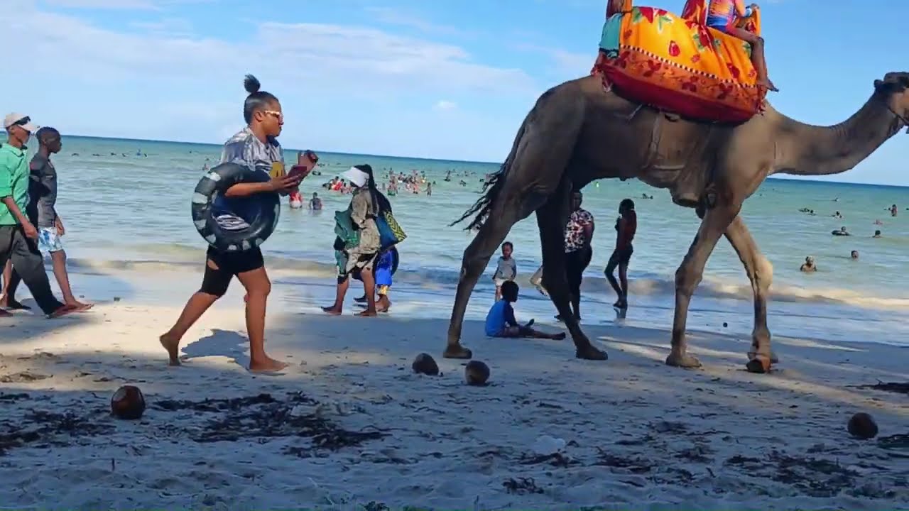 Diani Beach  ⛱️ adventures ✨️ #DianiBeach #KenyaVibes