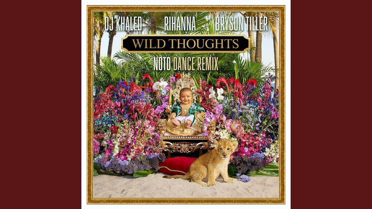 Wild Thoughts (NOTD Dance Remix)