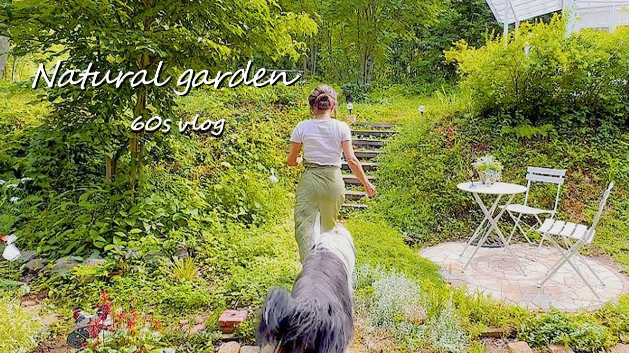 [Исцеление 🌿 Лесная жизнь] Влог 60-х/Веганские сладости/Черничный пирог