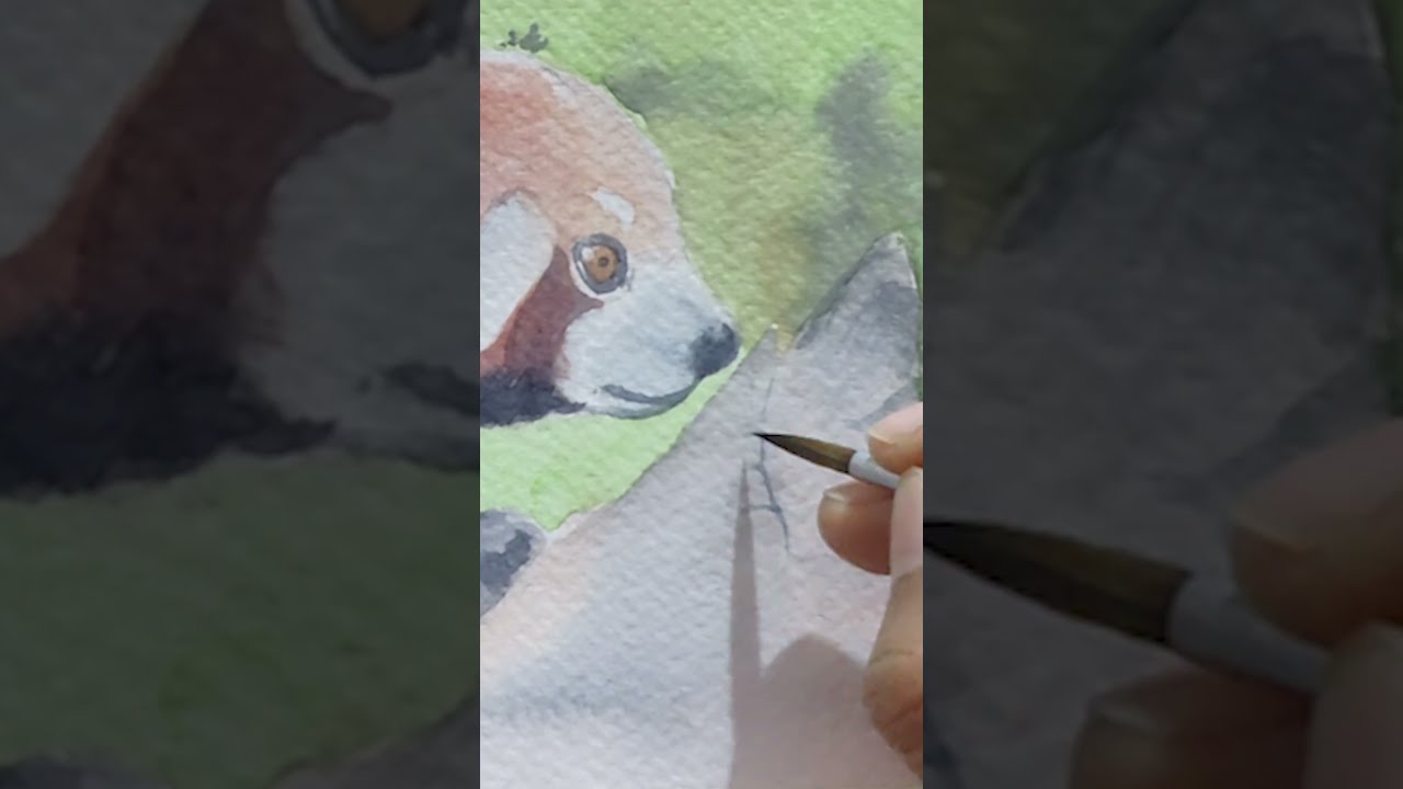 Red Panda Watercolor Timelapse 🖌️ | Part 2 – Adding Details
