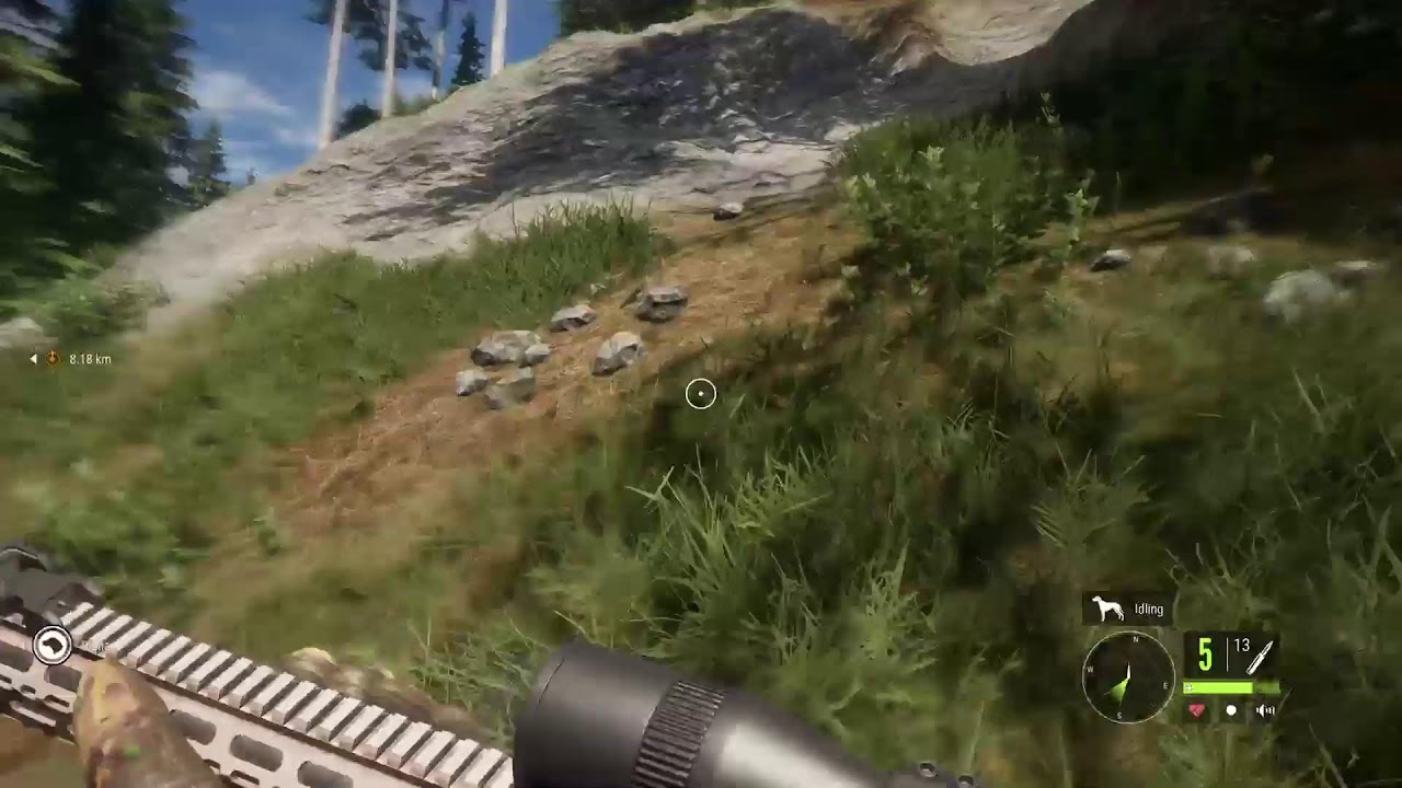 Hunting