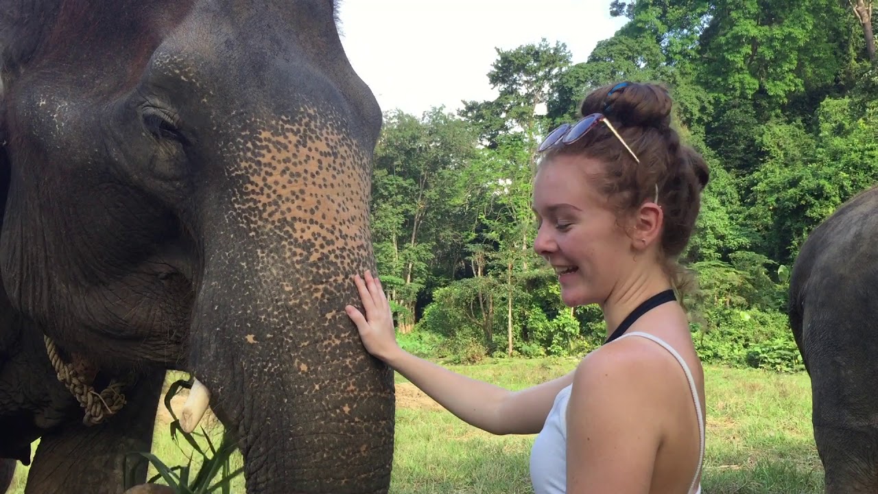 Ao Nang Elephant Sanctuary