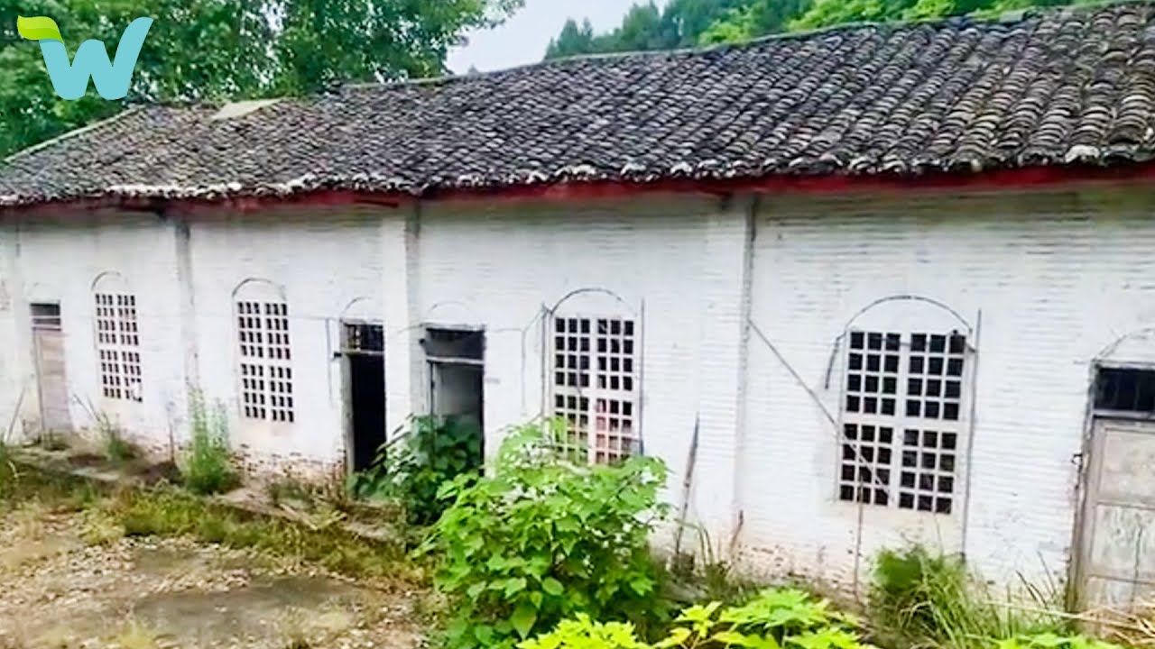 Cleaning and renovating the old abandoned house.  Growing vegetables and fish.  Modern egg incubator